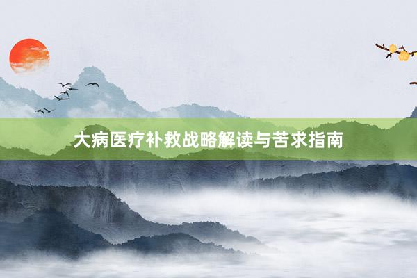 大病医疗补救战略解读与苦求指南