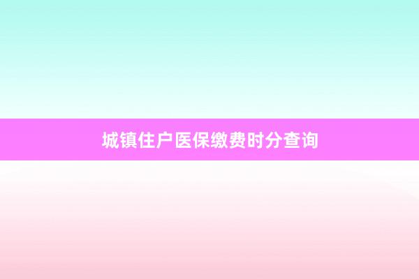 城镇住户医保缴费时分查询