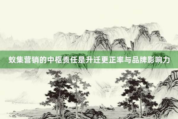 蚁集营销的中枢责任是升迁更正率与品牌影响力