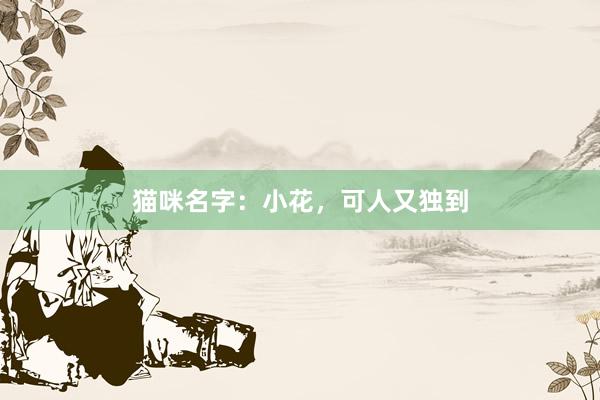 猫咪名字：小花，可人又独到